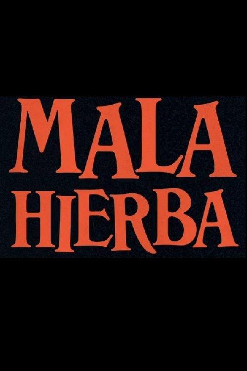 Poster Mala Hierba