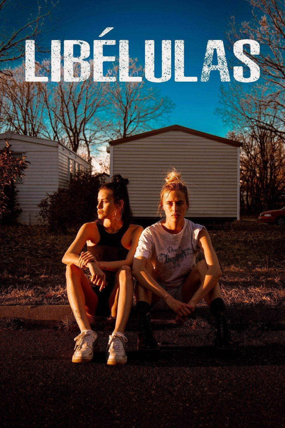Poster Libélulas
