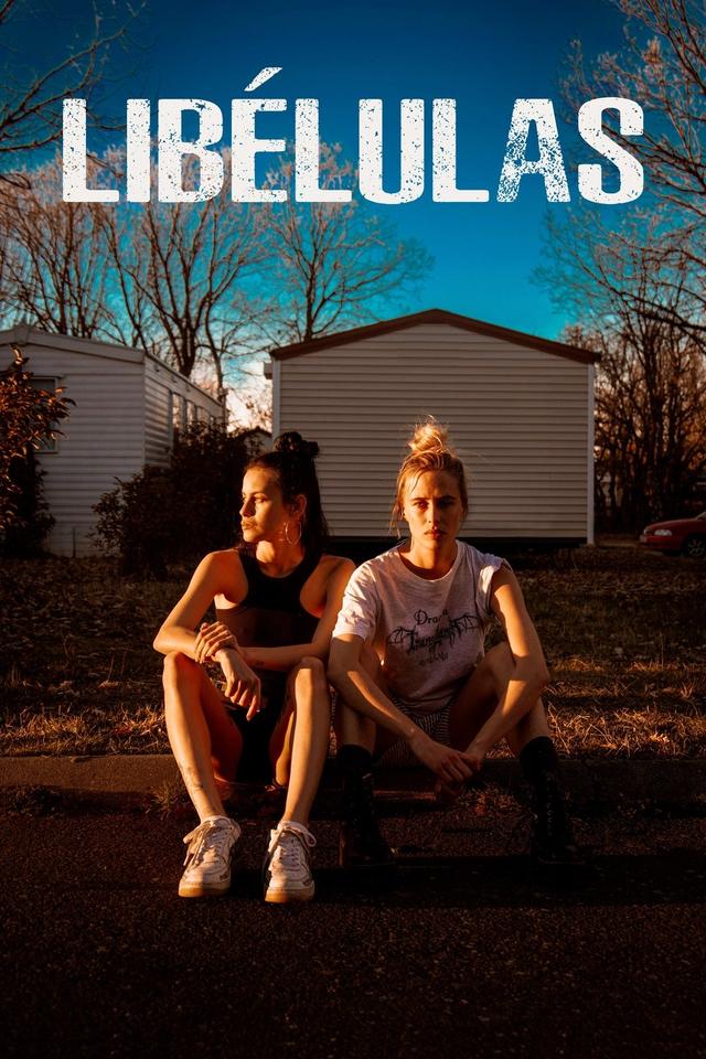 Poster Libélulas