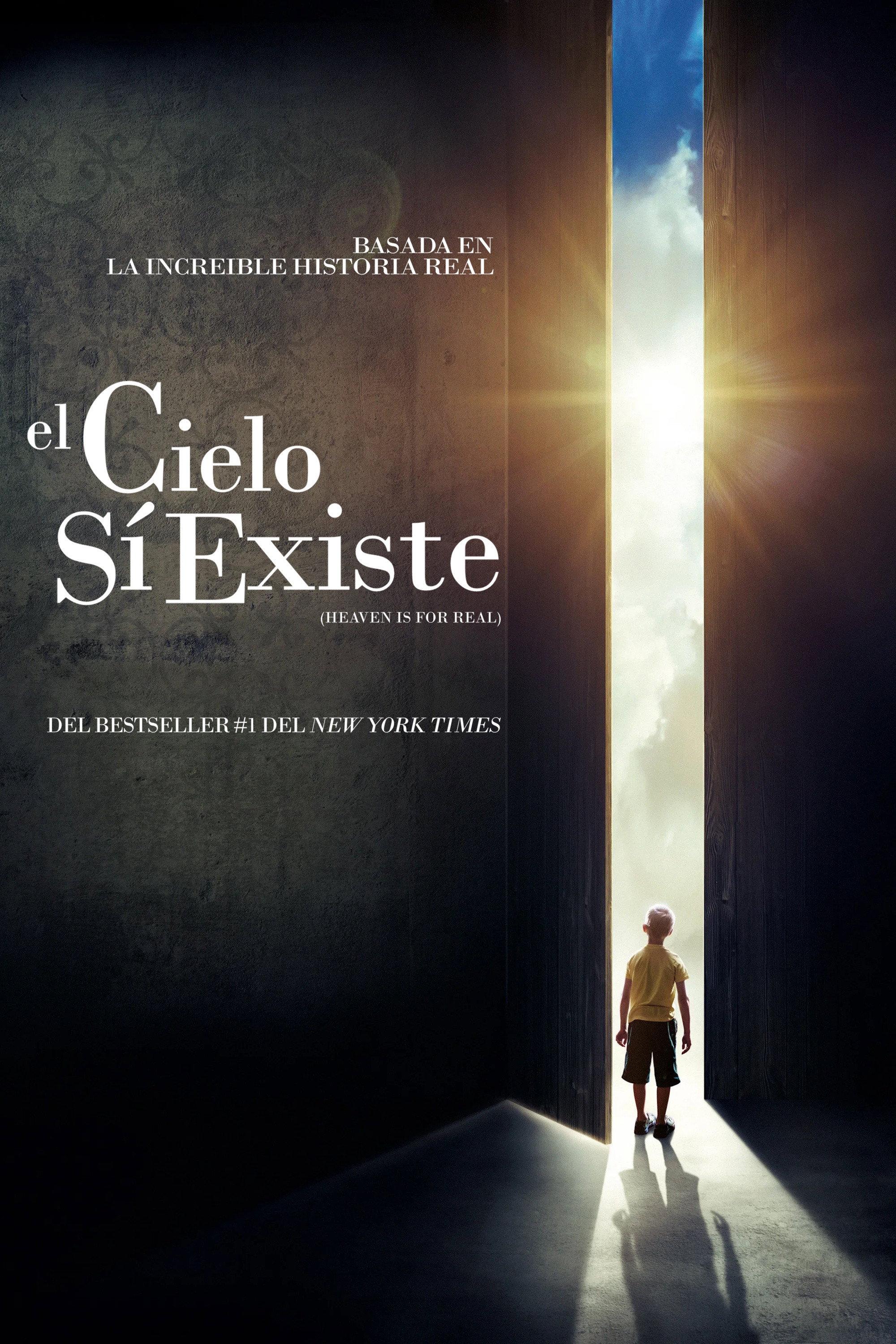 Poster El cielo sí existe