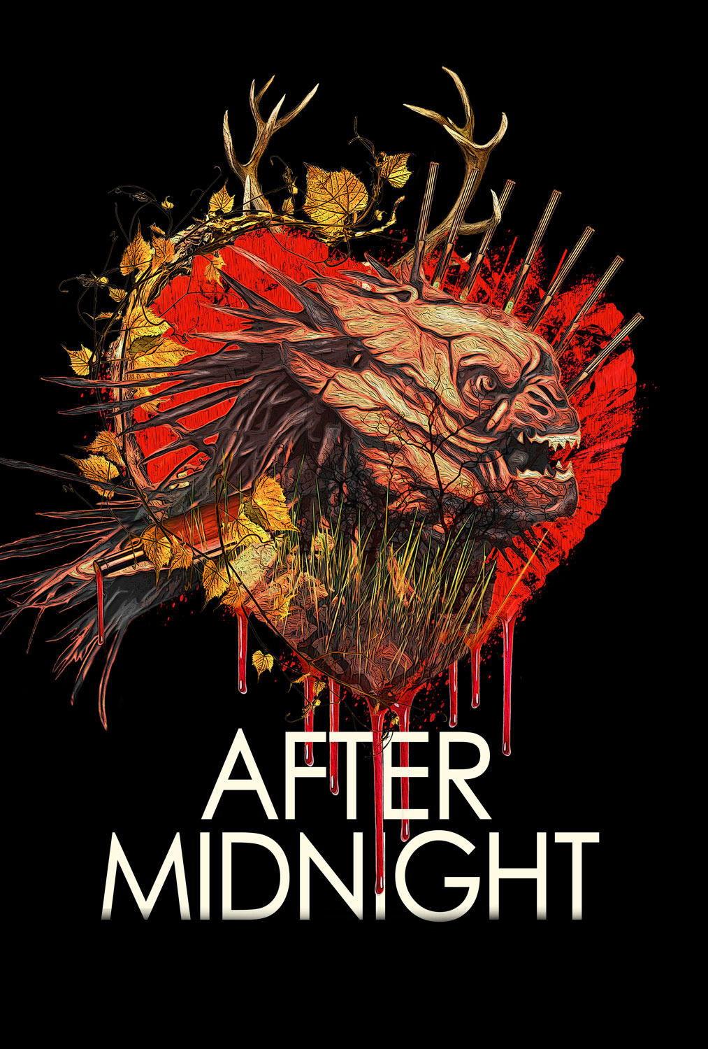 Poster After Midnight