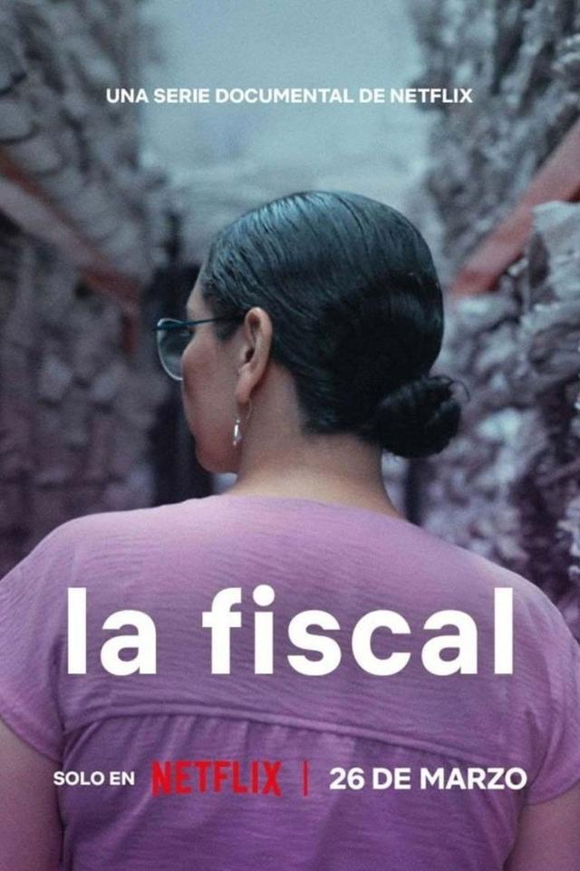 Poster La fiscal