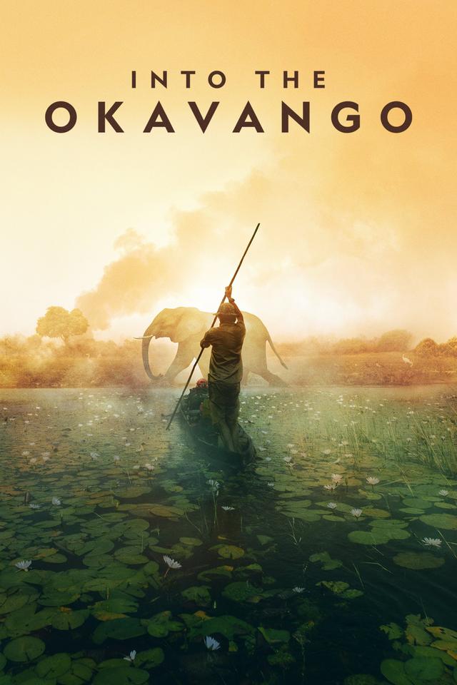 Poster Okavango: El Alma Africana