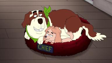 Poster episodio HouseBroken 1x10