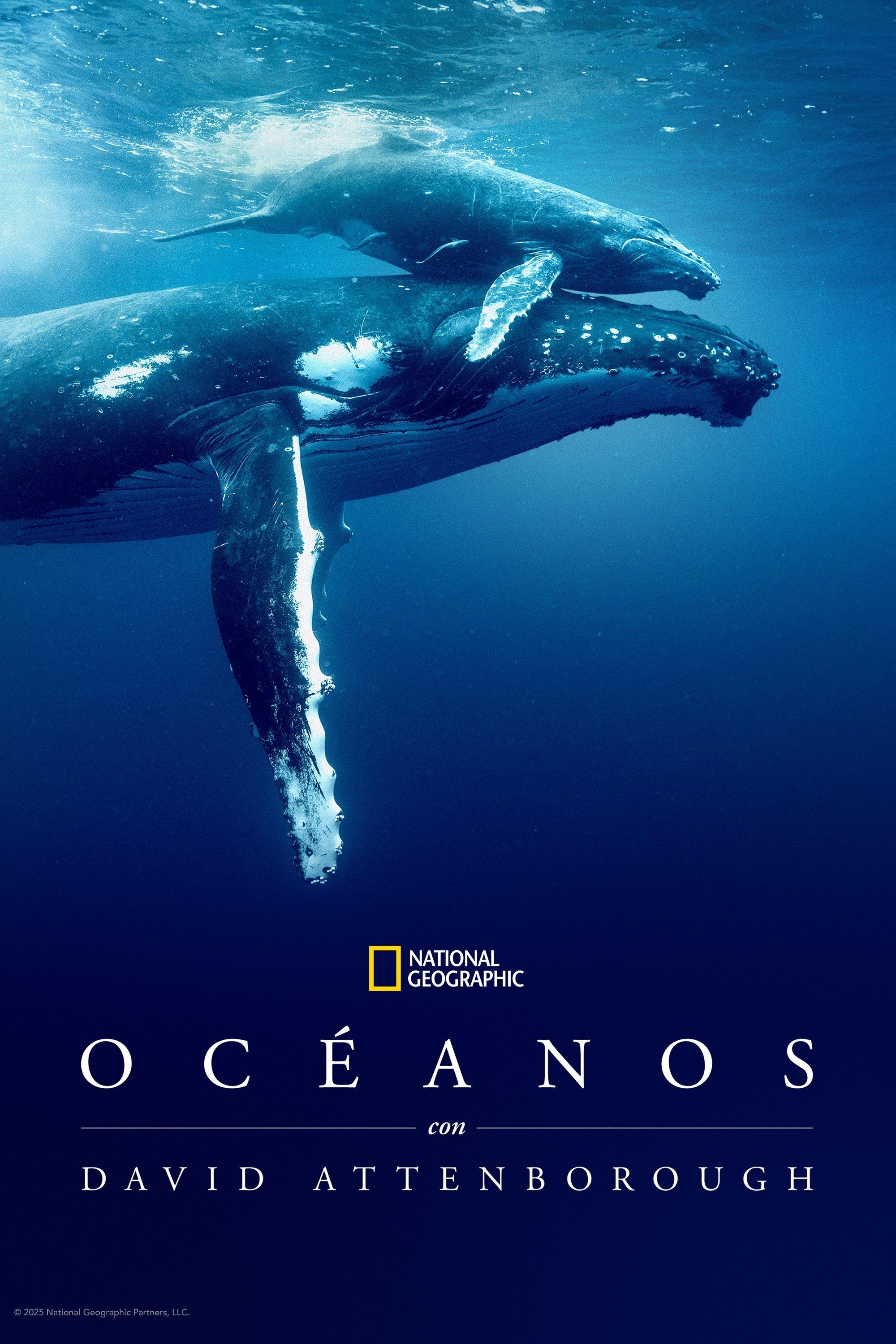 Poster Océanos con David Attenborough