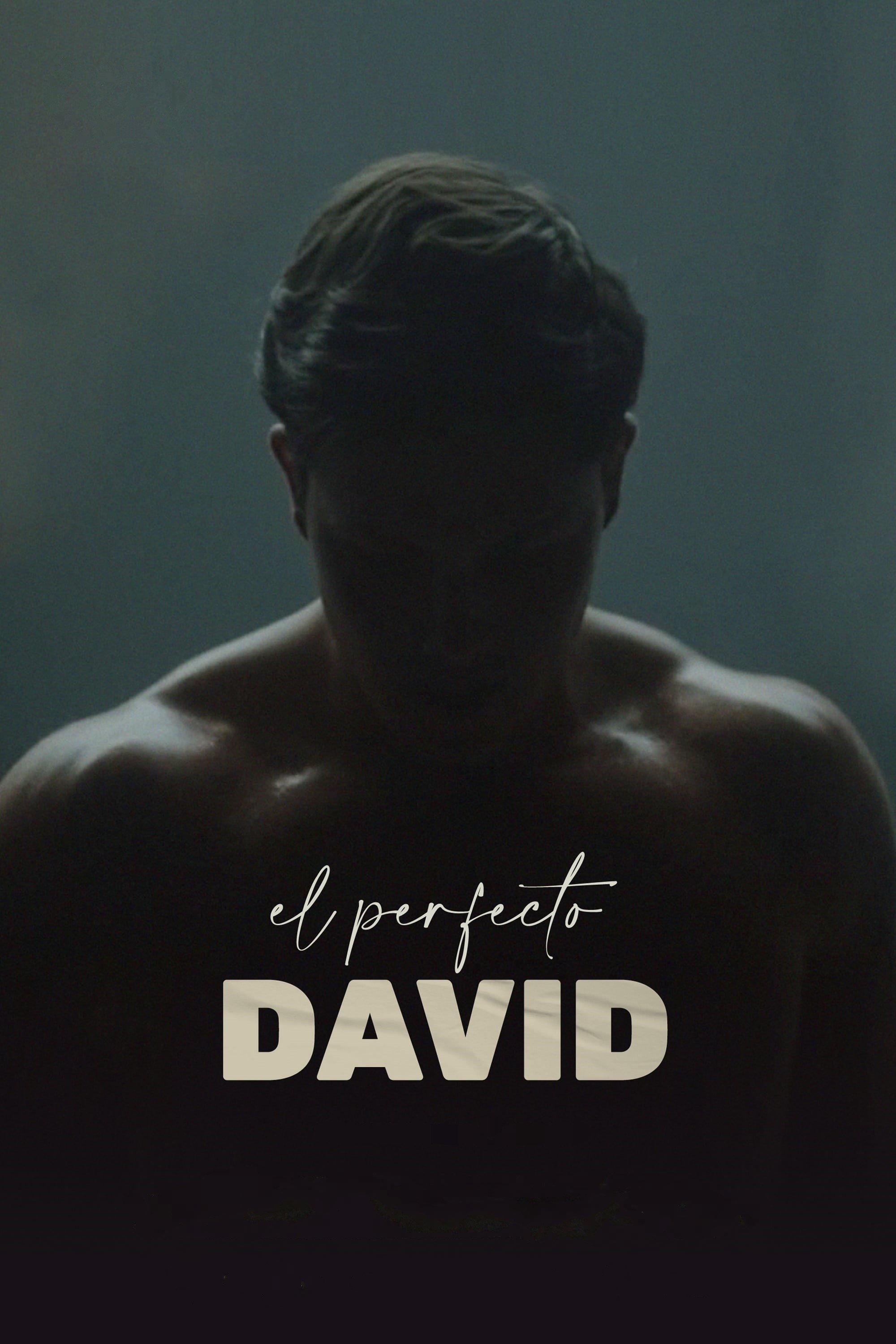 Poster El perfecto David