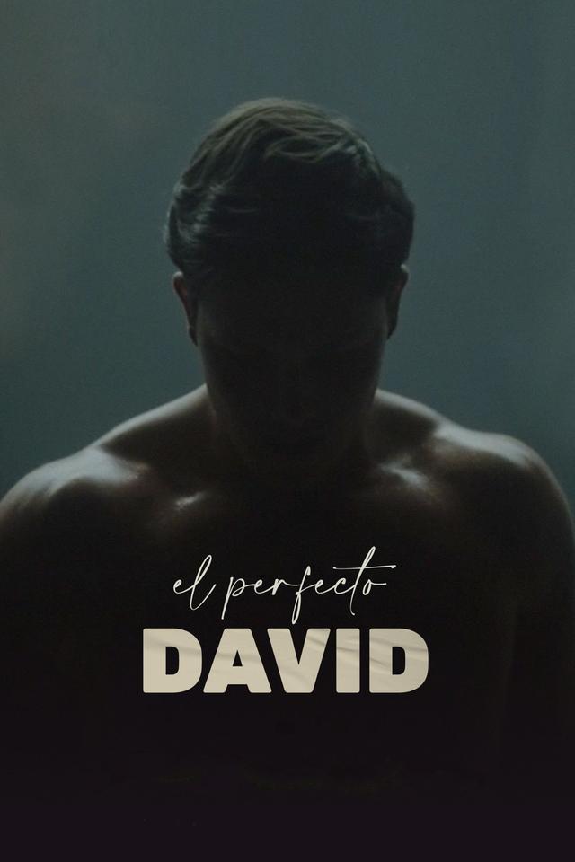 Poster El perfecto David