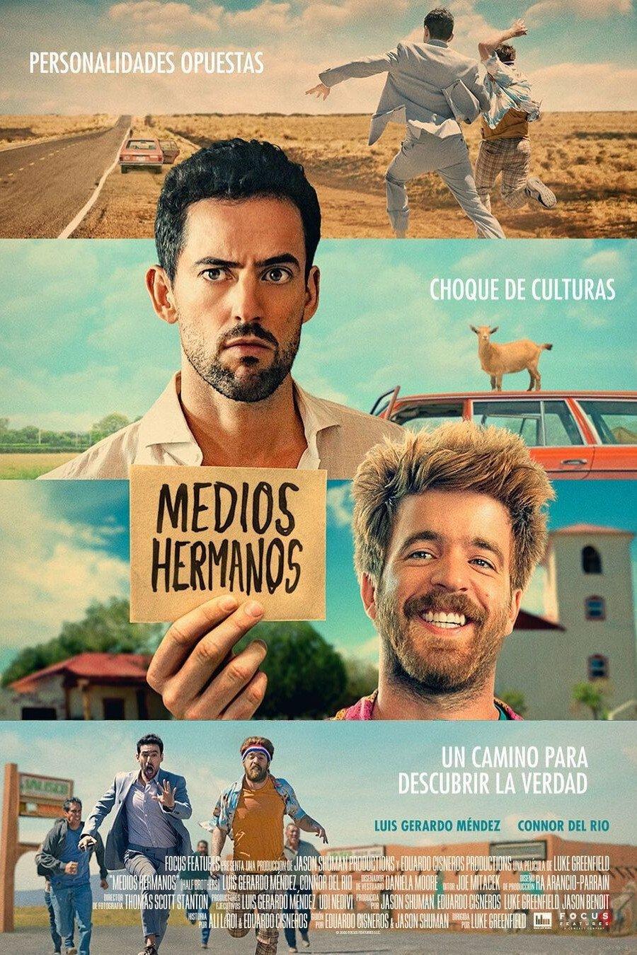 Poster Medios Hermanos