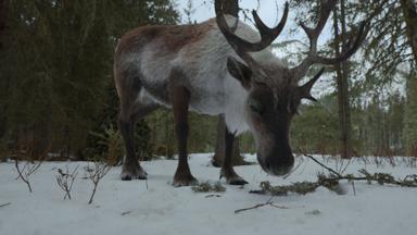 Poster episodio Jane 1x9