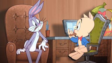 Poster episodio El Show de los Looney Tunes 1x17