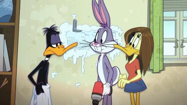 Poster episodio El Show de los Looney Tunes 1x24