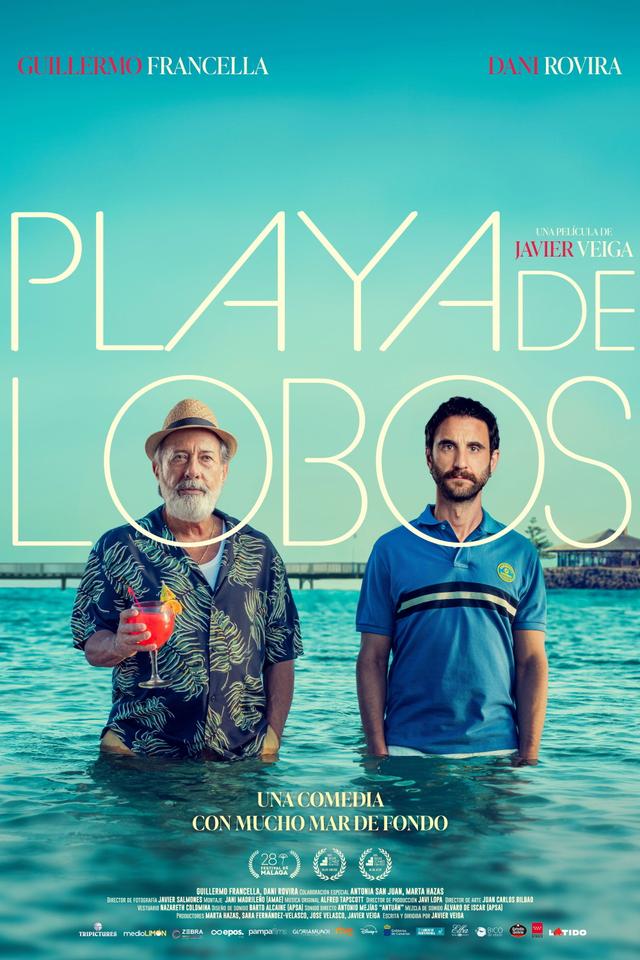 Poster Playa de lobos