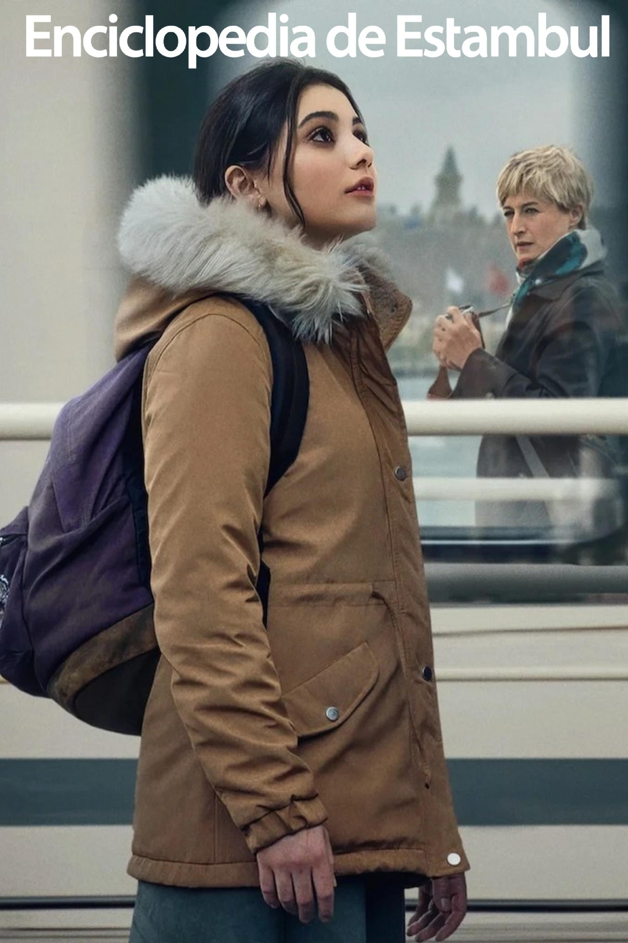 Poster Enciclopedia de Estambul