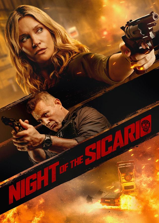 Poster Night of the Sicario