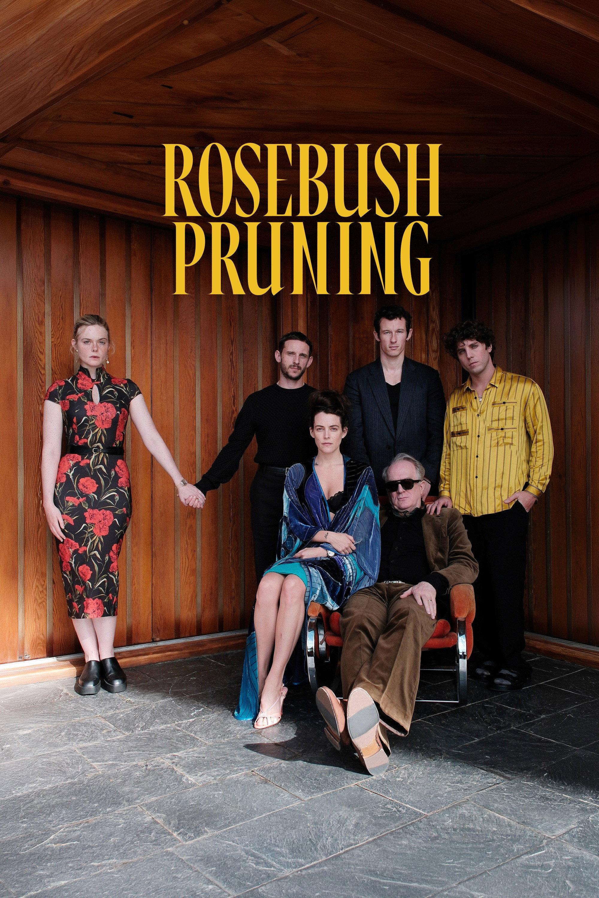 Poster Rosebush Pruning