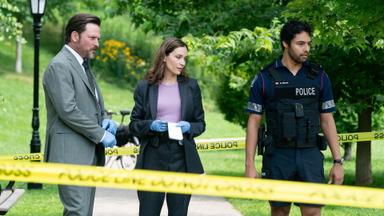 Poster episodio La Ley y el Orden Toronto: Intento Criminal 2x1