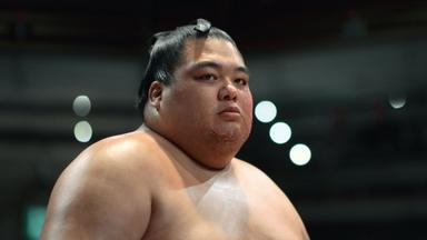 Poster episodio Sanctuary 1x8