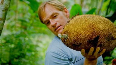 Poster episodio Zac Efron: Con los pies sobre la tierra 1x3