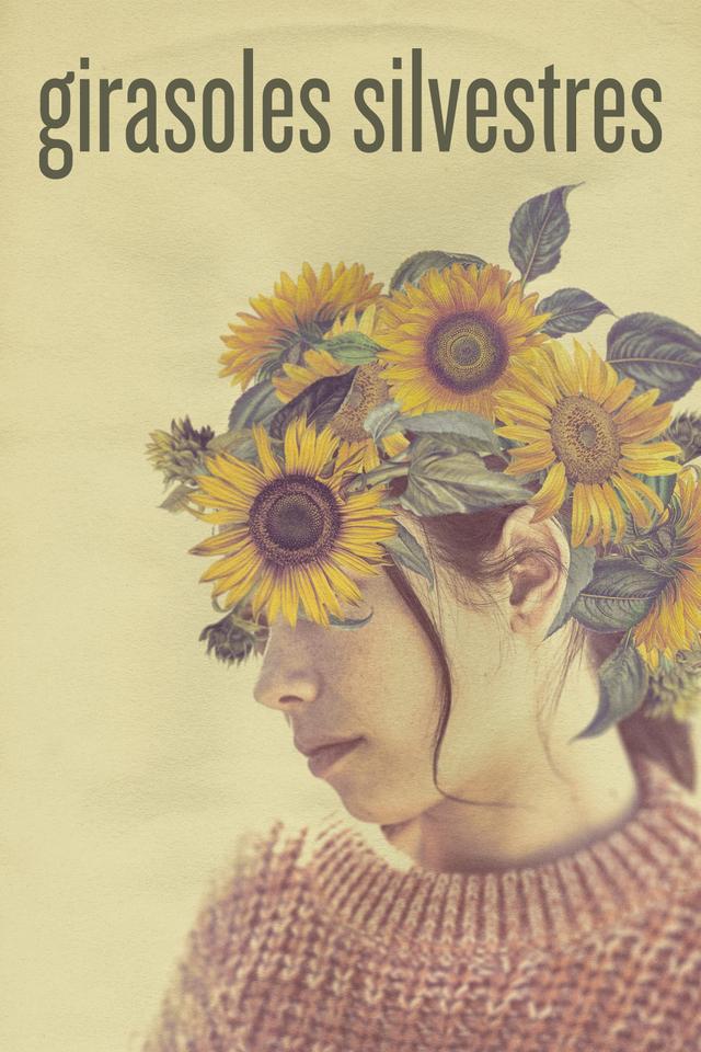Poster Girasoles silvestres