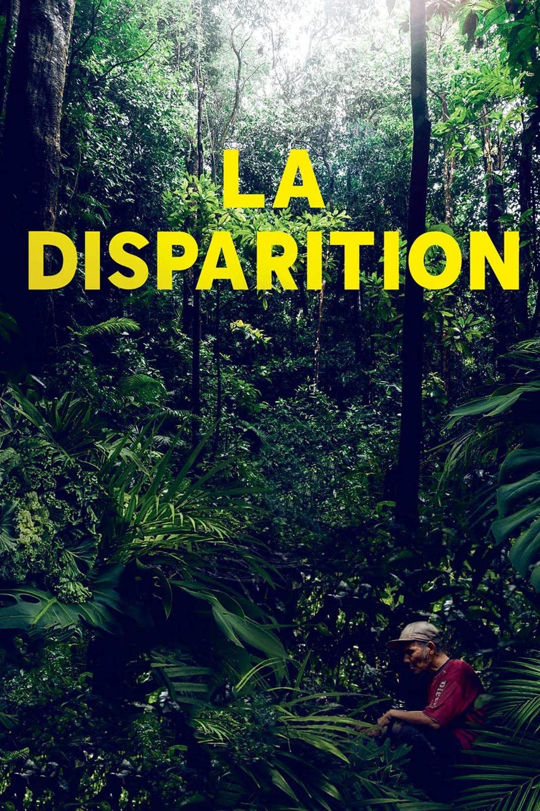 Poster La Disparition