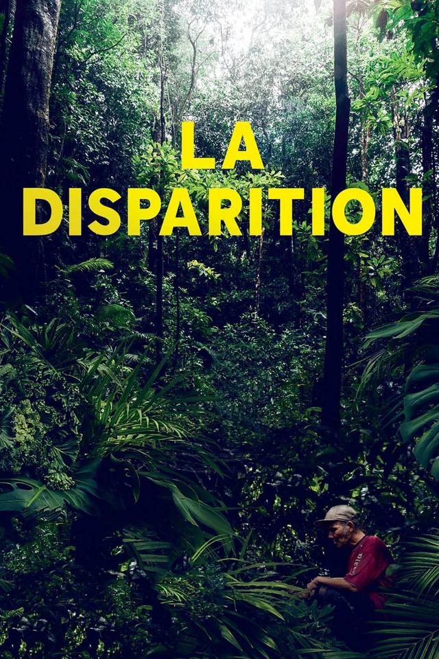 Poster La Disparition