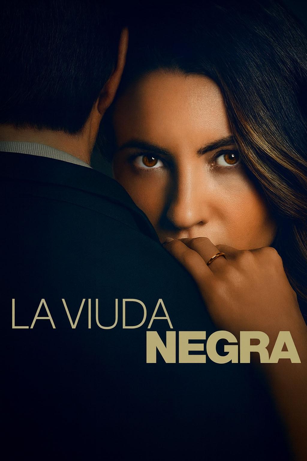 Poster La viuda negra