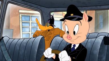 Poster episodio El Show de los Looney Tunes 1x19