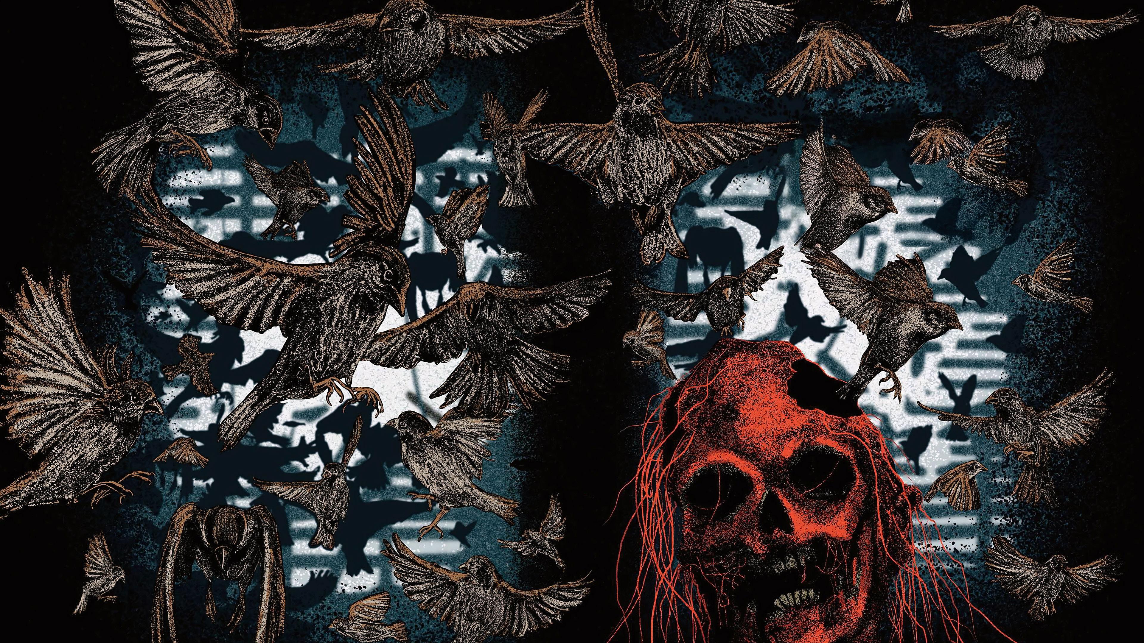 Backdrop