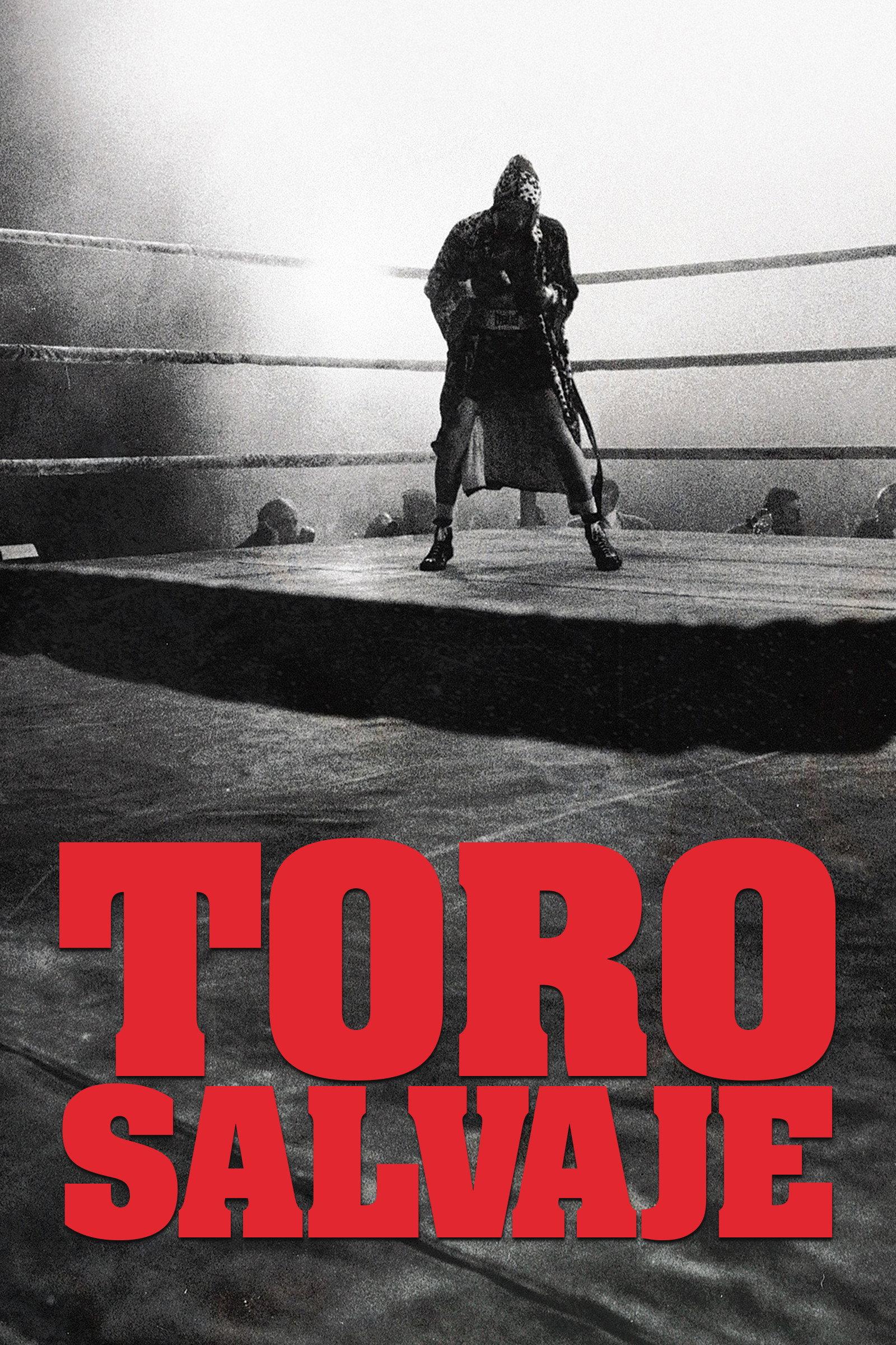 Poster Toro Salvaje