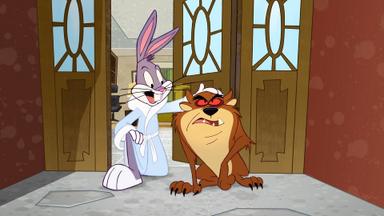 Poster episodio El Show de los Looney Tunes 1x8