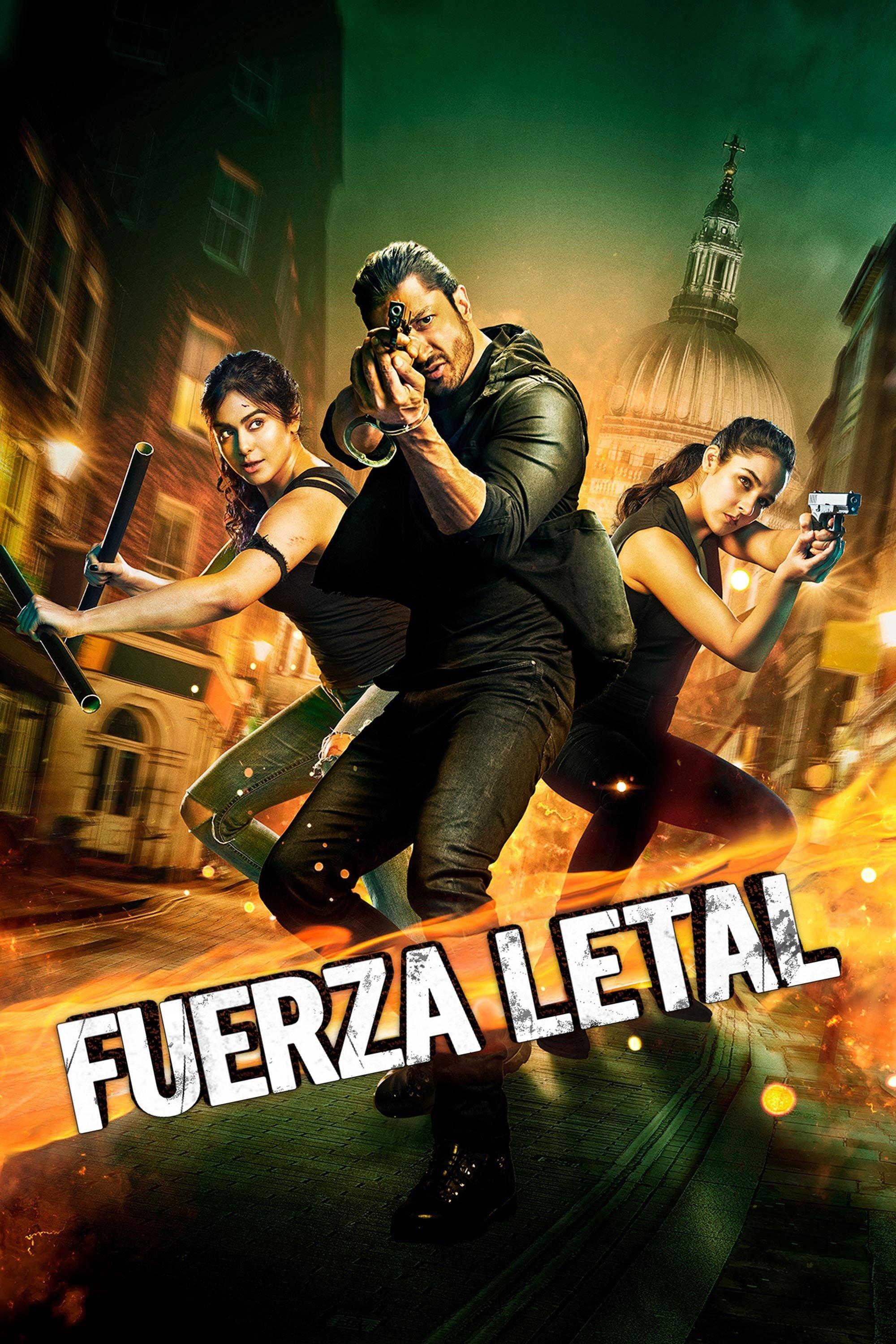 Poster कमांडो 3