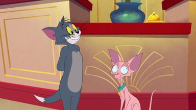Poster episodio Tom y Jerry en Nueva York 1x6