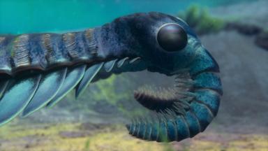 Poster episodio La vida en nuestro planeta 1x2