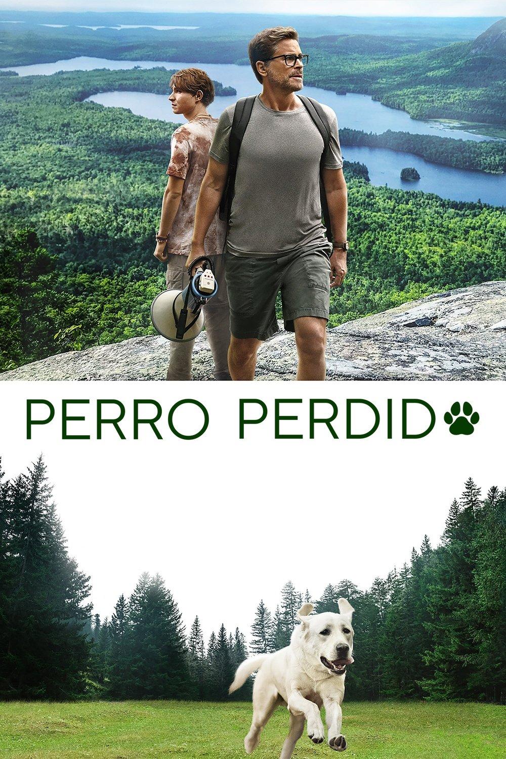 Poster Perro perdido