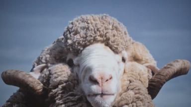 Poster episodio North Shore 1x3