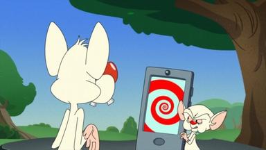 Poster episodio Animaniacs 1x3