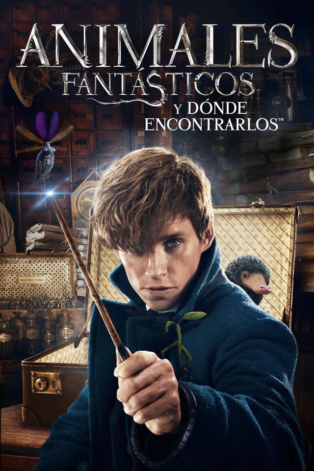Poster Animales Fantásticos: Y Dónde Encontrarlos
