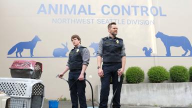 Poster episodio Animal Control 3x7