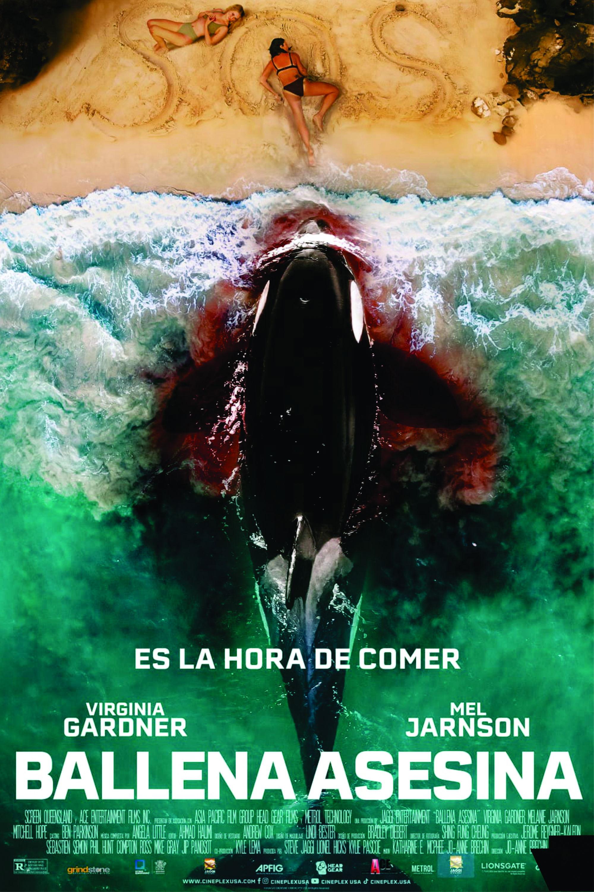 Poster Ballena Asesina