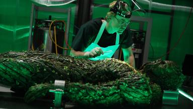 Poster episodio La cosa del pantano 1x9