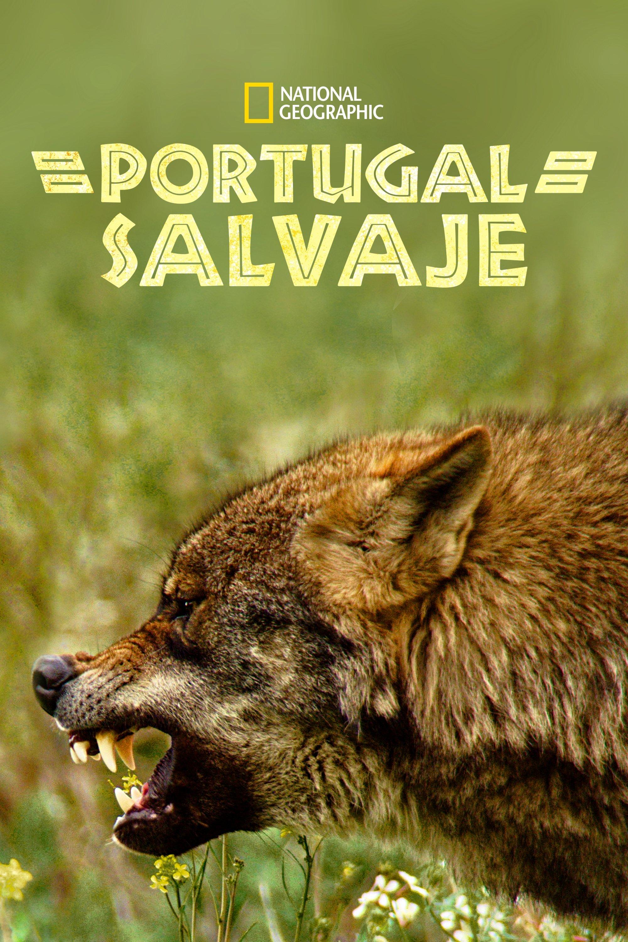 Poster Wild Portugal