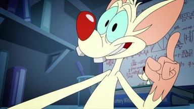 Poster episodio Animaniacs 2x12