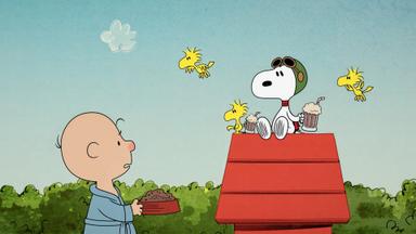 Poster episodio El show de Snoopy 1x2
