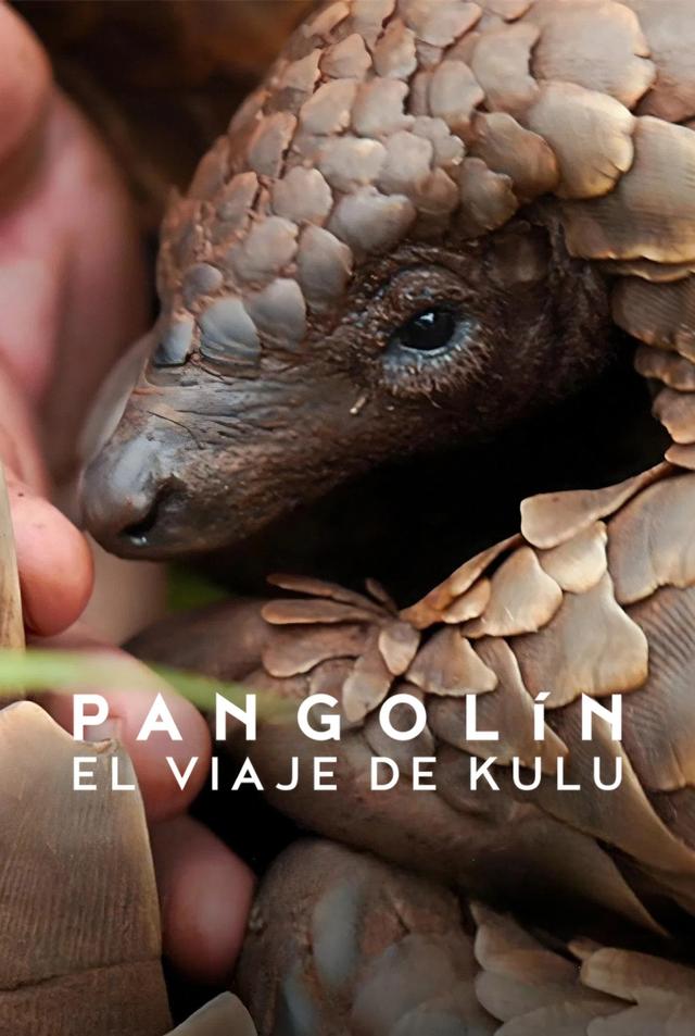 Poster Pangolín: El viaje de Kulu