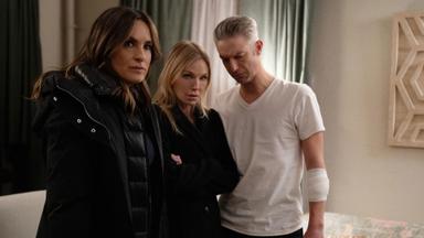 Poster episodio La Ley y el Orden: Unidad de Víctimas Especiales 27x11