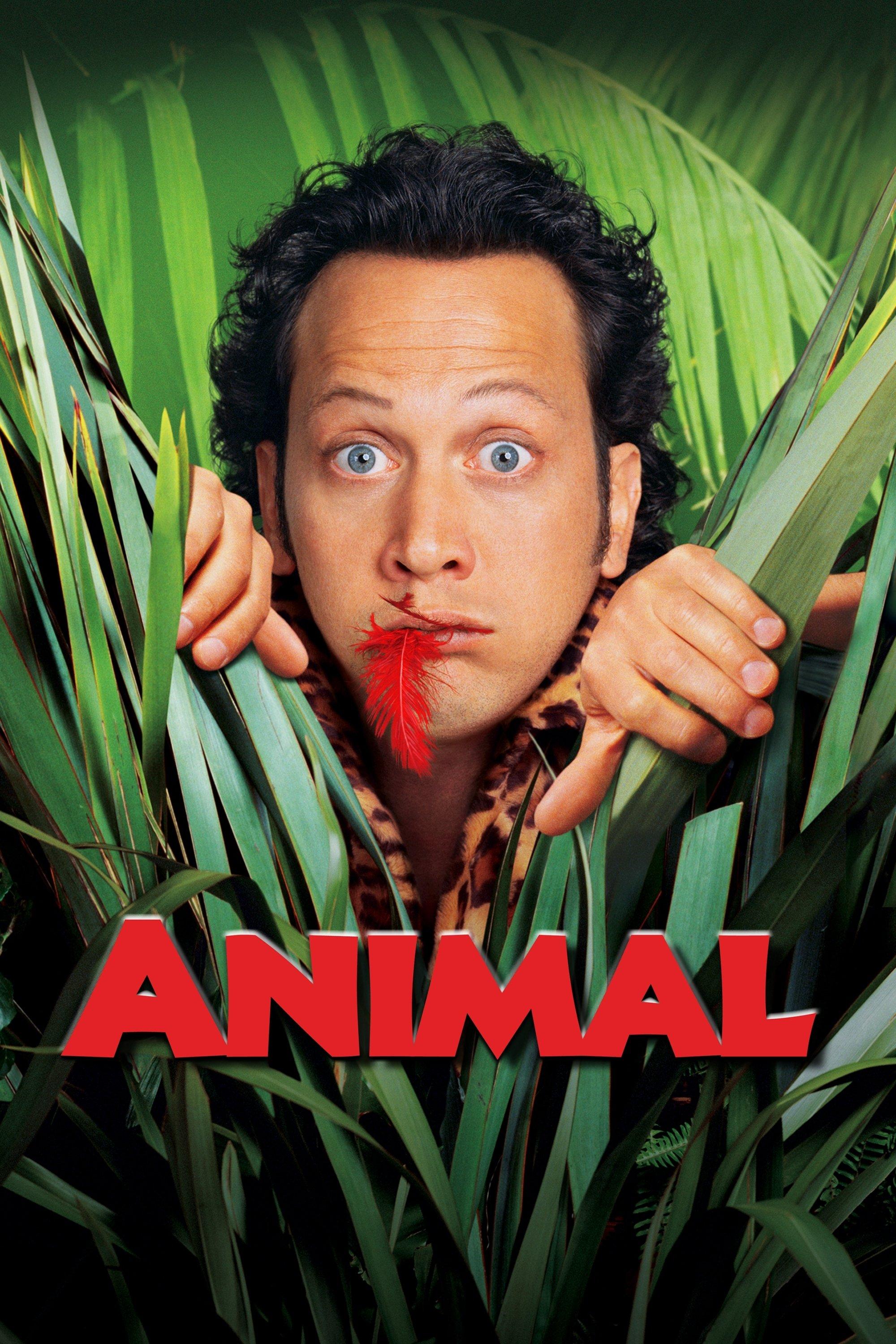 Poster Animal