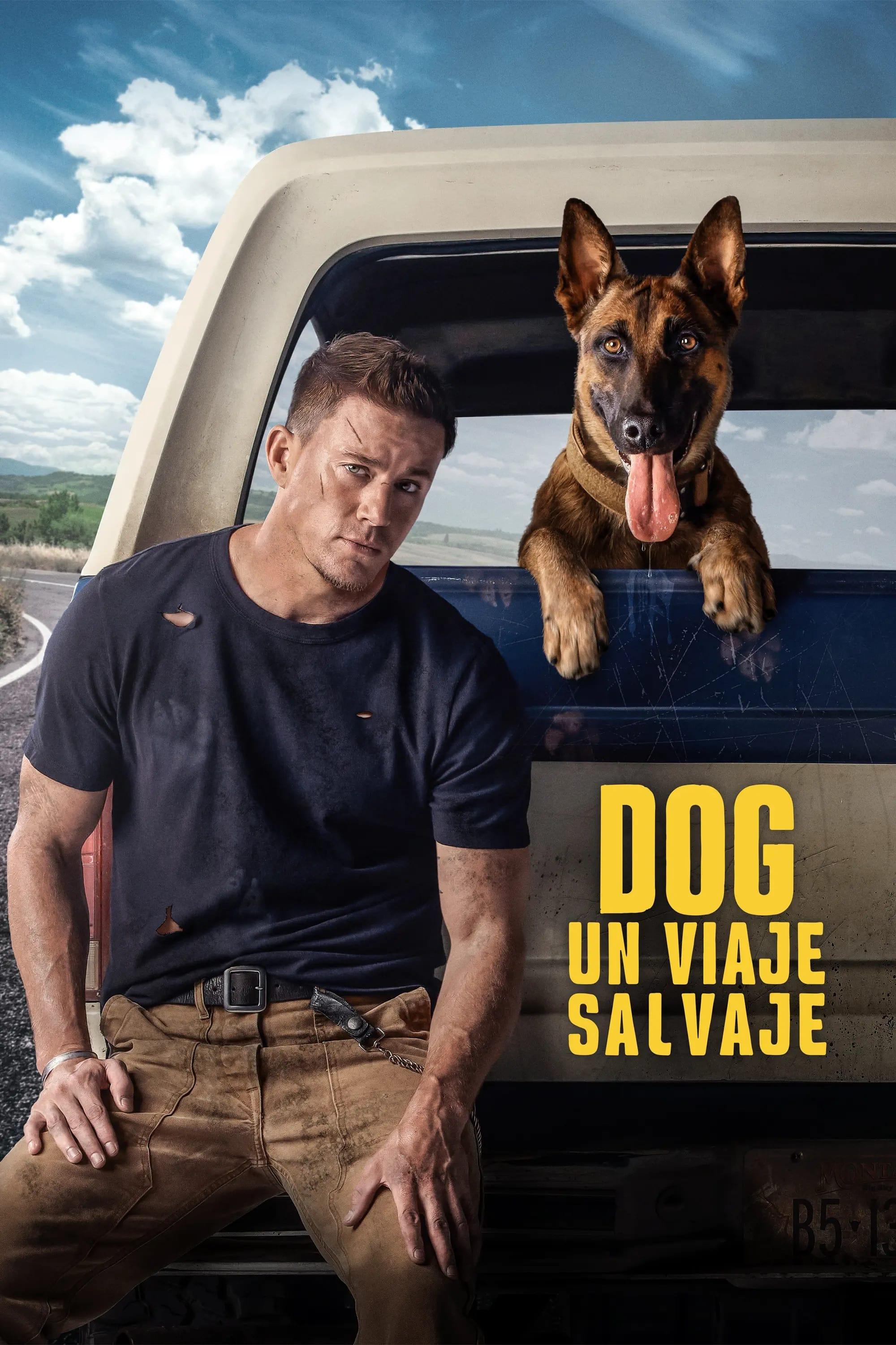 Poster Dog: Un viaje salvaje