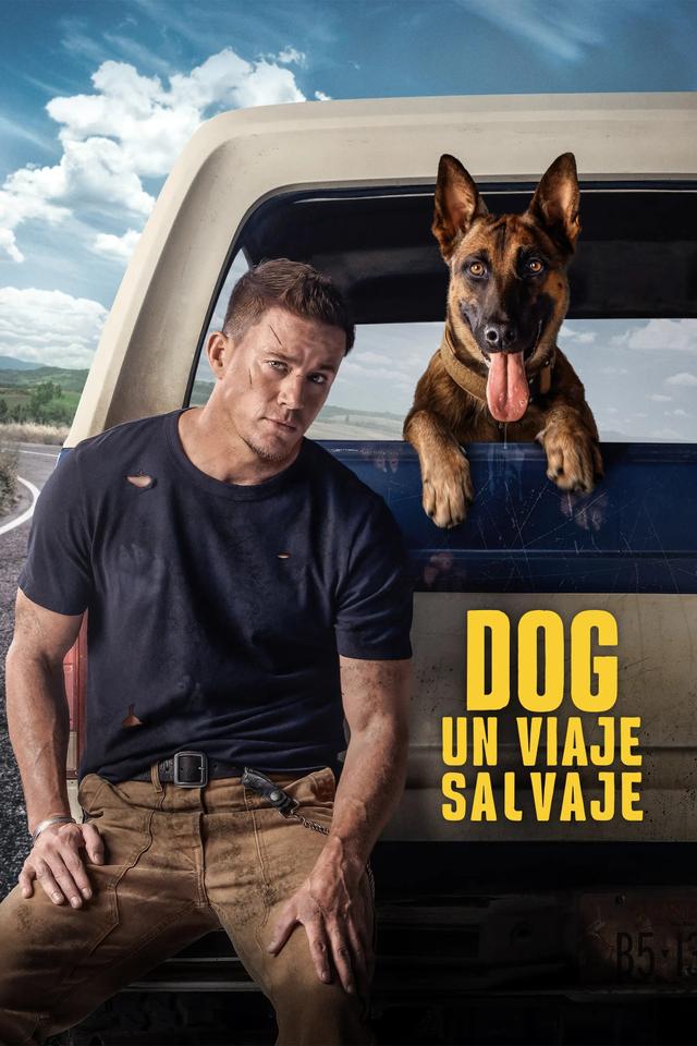 Poster Dog: Un viaje salvaje
