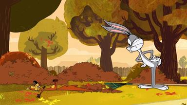 Poster episodio New Looney Tunes 1x6