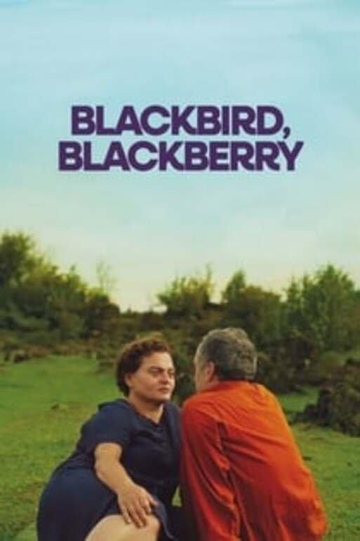 Poster Blackbird Blackbird Blackberry